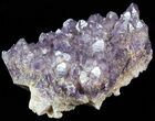 Purple Amethyst Cluster - Turkey #55371-1